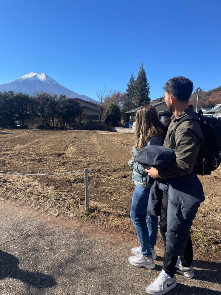 🌸 Hola, mundo 🌸